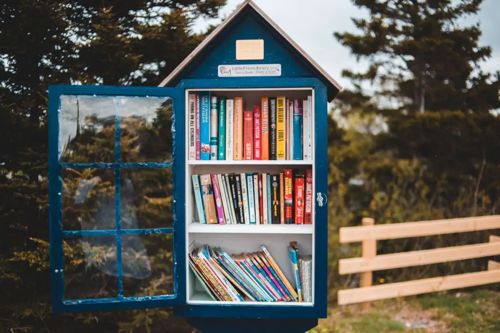 Unique and Unconventional Book Storage Ideas