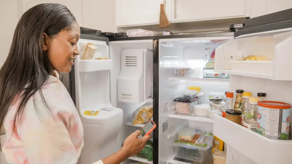 Fridge Layout and Organization