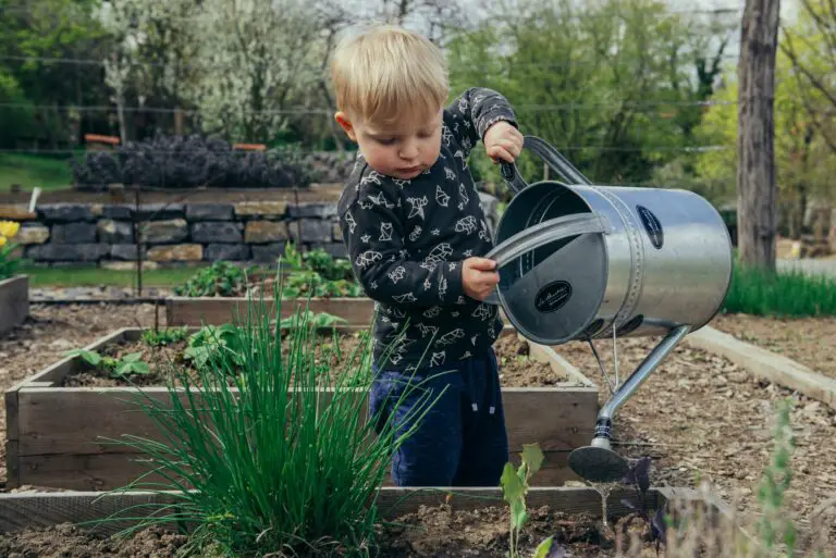 DIY Tips for Building Your Own Garden Beds