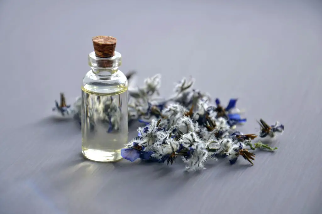 Benefits of Using Aromatherapy in Your Home