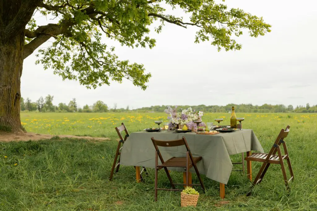 Creating a Chic and Relaxing Outdoor Dining Area