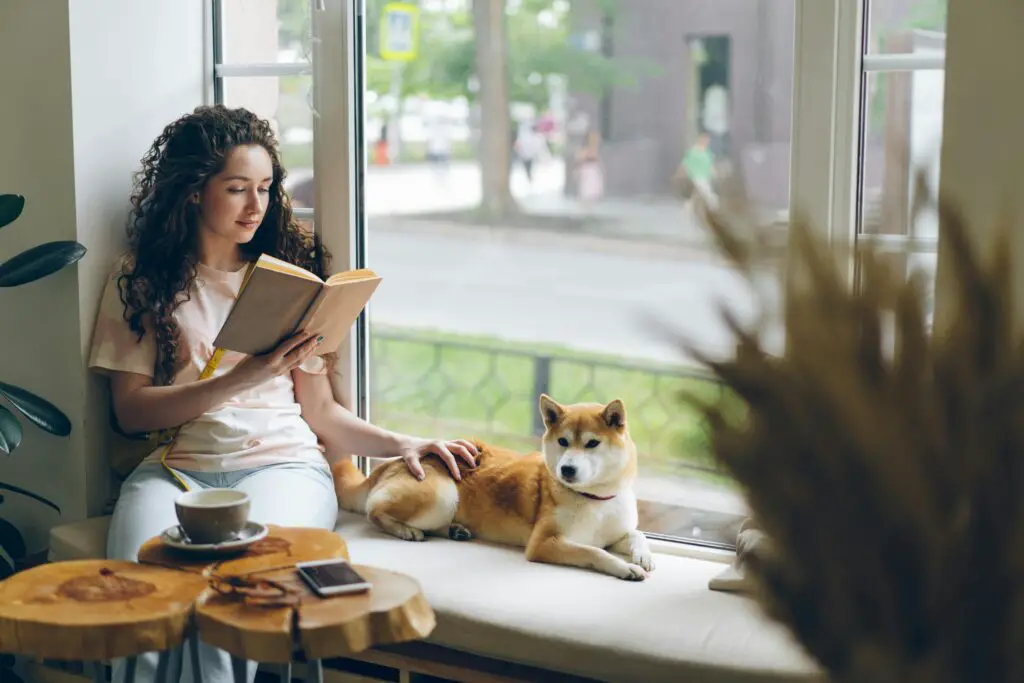 How to Create a Cozy Reading Corner in Any Room